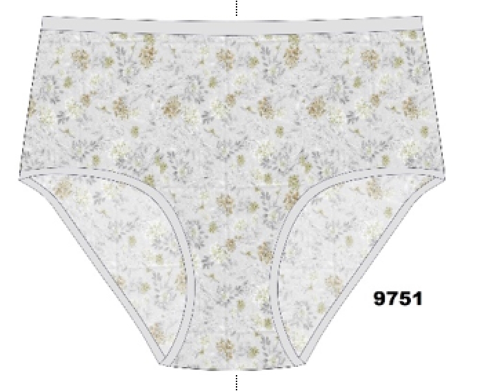 Трусы жен (АРТ. 9751)