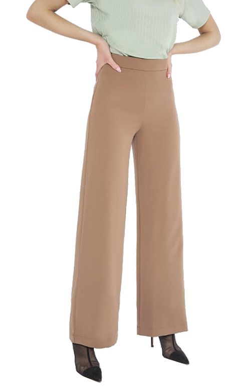 Брюки  жен (АРТ. 182352)