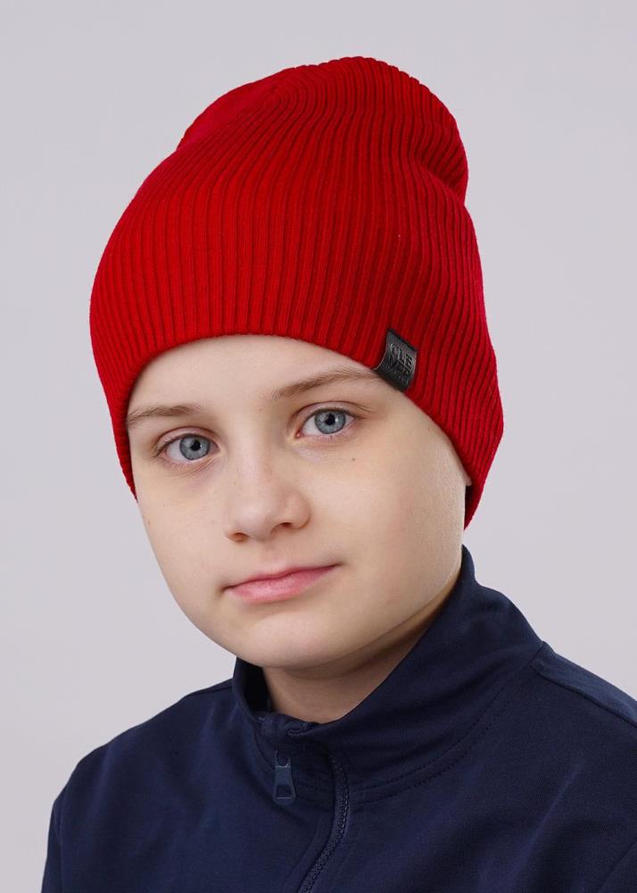 Шапка дет Clever (АРТ. 603413ак)