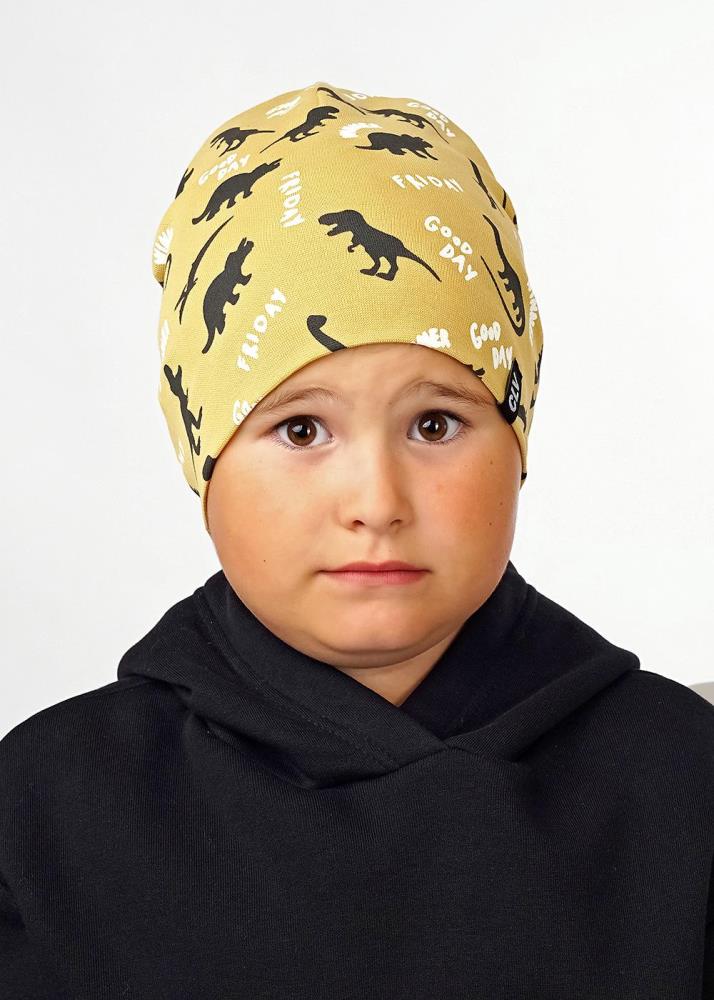 Шапка дет (АРТ. 536026рп)