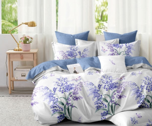 КПБ 2-х поплин (АРТ. П-2832)