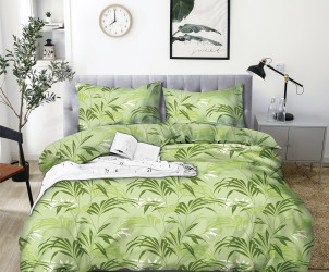 КПБ 1,5-х сп бязь/коробка (АРТ. БГУ4-1029)