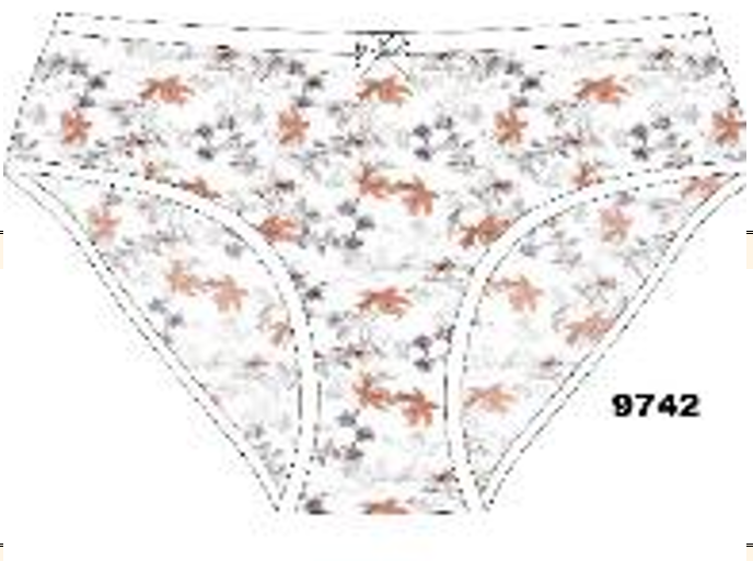 Трусы жен (АРТ. 9742)