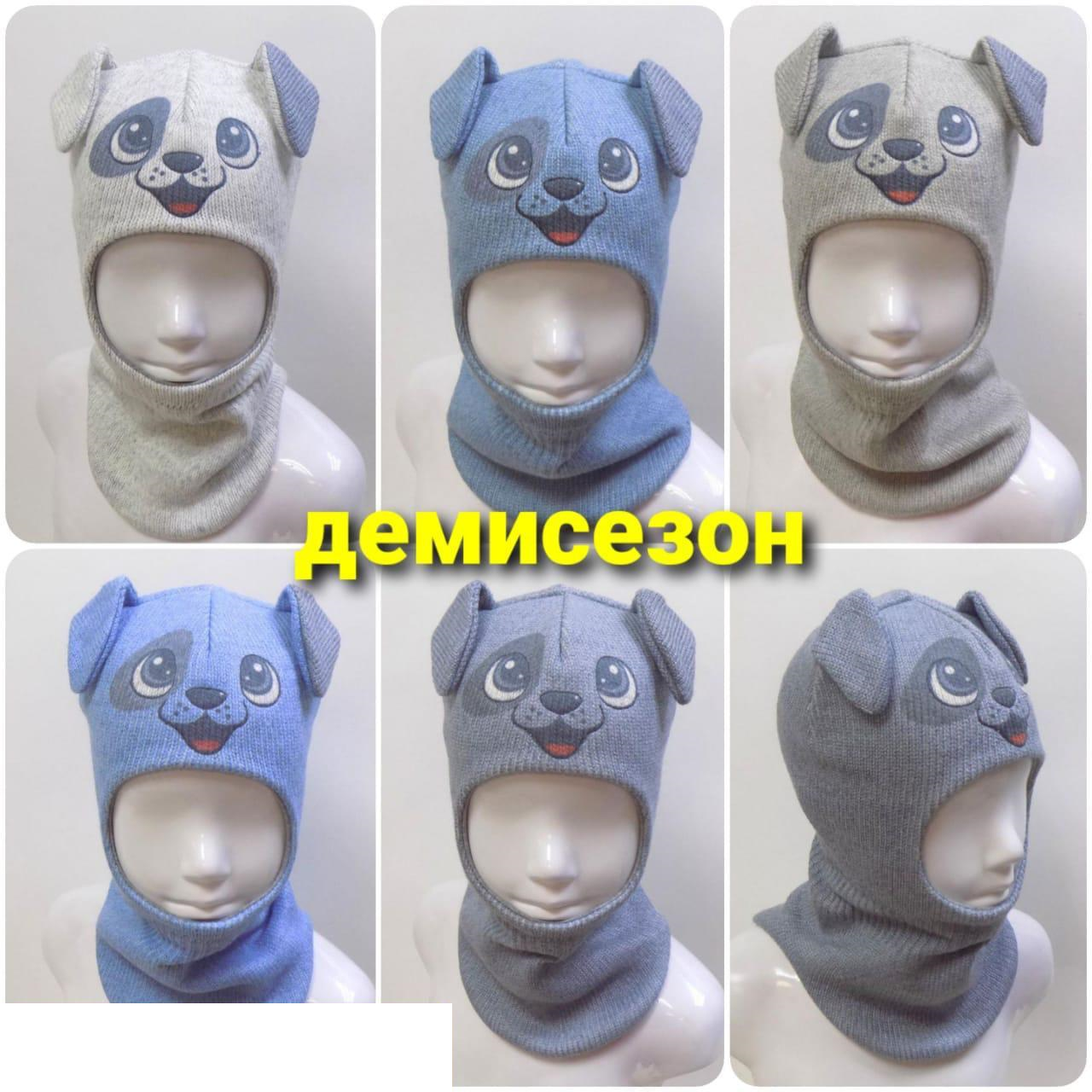 Шлем демисезон Щенок (АРТ. ДШМ21-448)