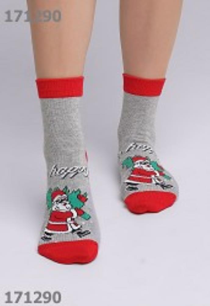 Носки жен (АРТ. Д2356Л)