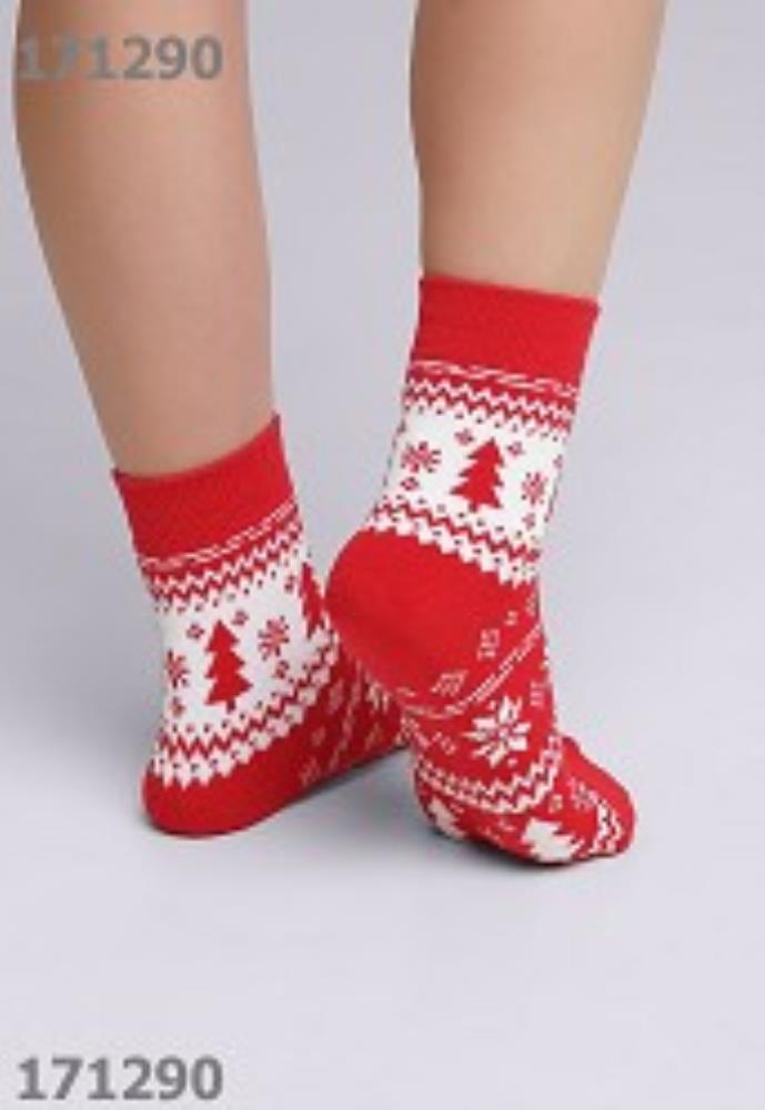 Носки дет (АРТ. С4350П)