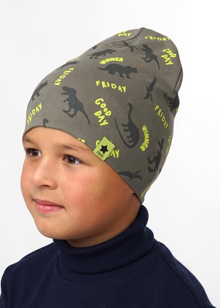 Шапка дет (АРТ. 536026рп)