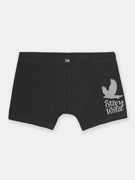 Трусы-боксеры муж (АРТ. FWXM 10046)