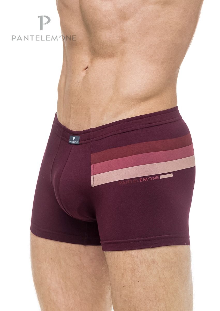 Трусы муж шорты (АРТ. PMH-1166)