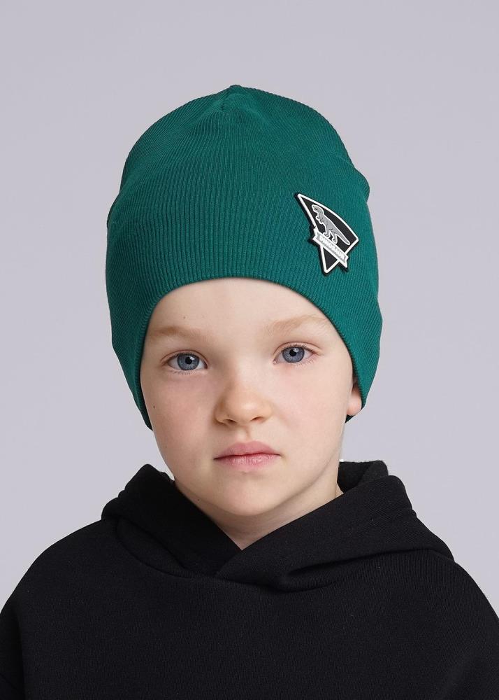 Шапка дет (АРТ. 436302ш)