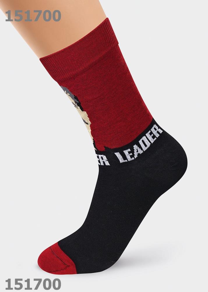 Носки муж (АРТ. К390Л)