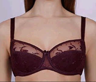 Бюстгальтер жен (АРТ. 259-6 бургунд)