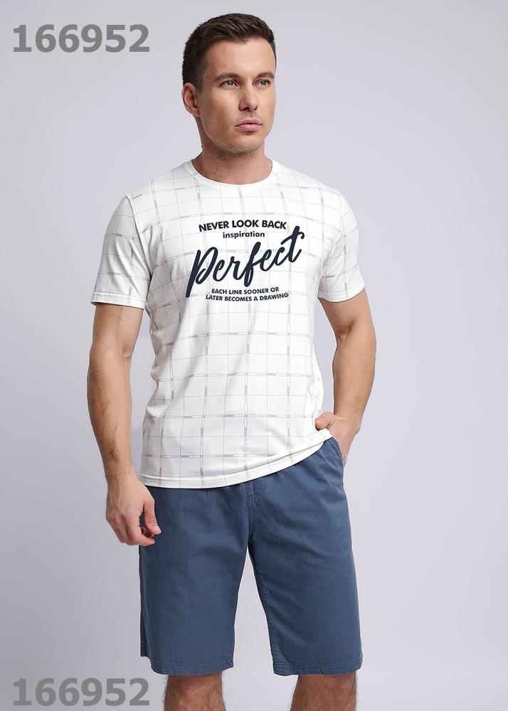 Джемпер муж Clever (АРТ. 531842/06гн_п)