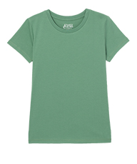 Футболка жен Family Colors (АРТ. FAXW 60052)