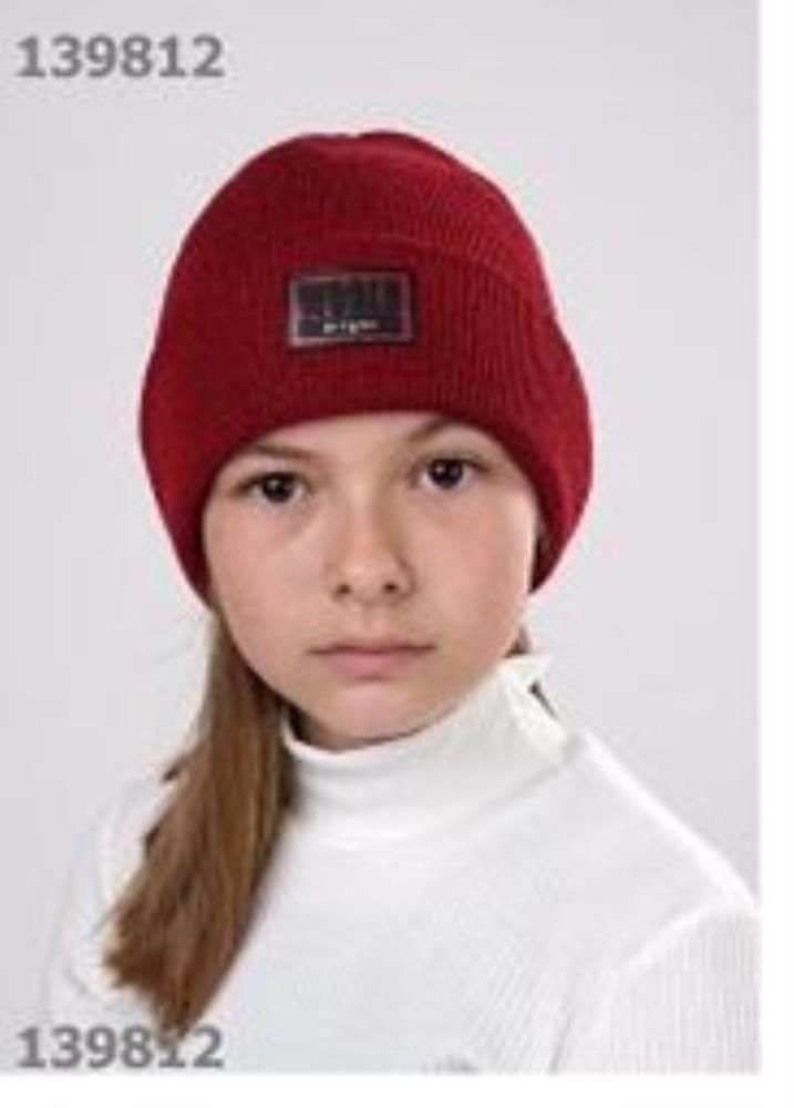 Шапка дет (АРТ. 902850аш)