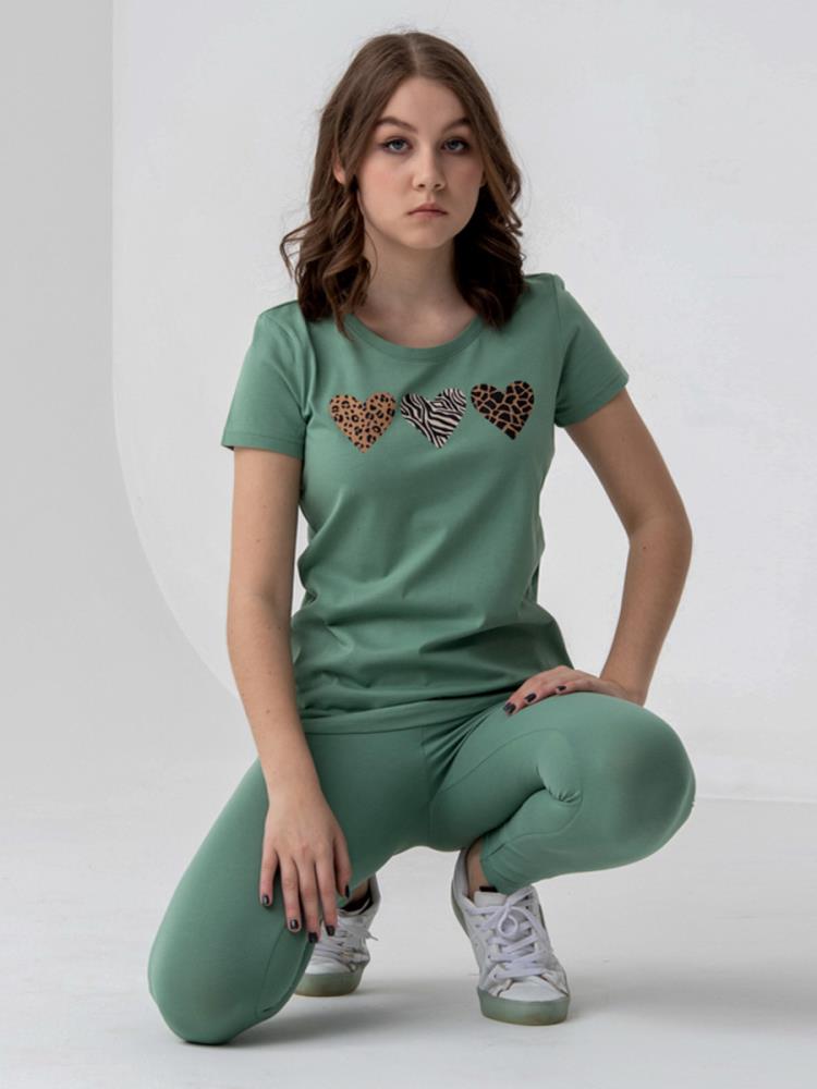 Футболка жен Family Colors (АРТ. FSSW 60166)