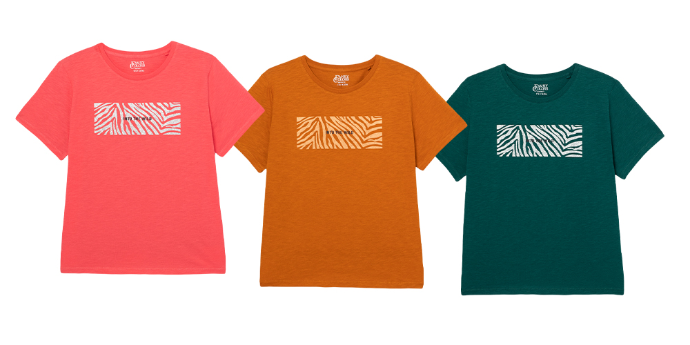 Футболка жен Family Colors (АРТ. FSLW 60159)