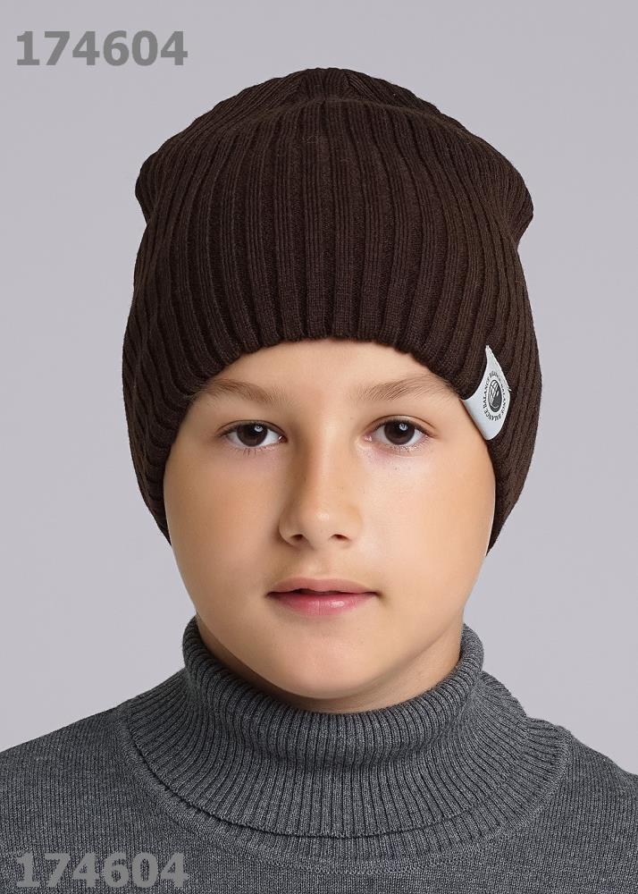 Шапка дет (АРТ. 433927аш)