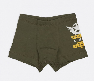 Трусы для мал (АРТ. 413344)