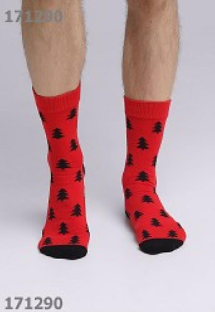 Носки муж (АРТ. К3363Л)