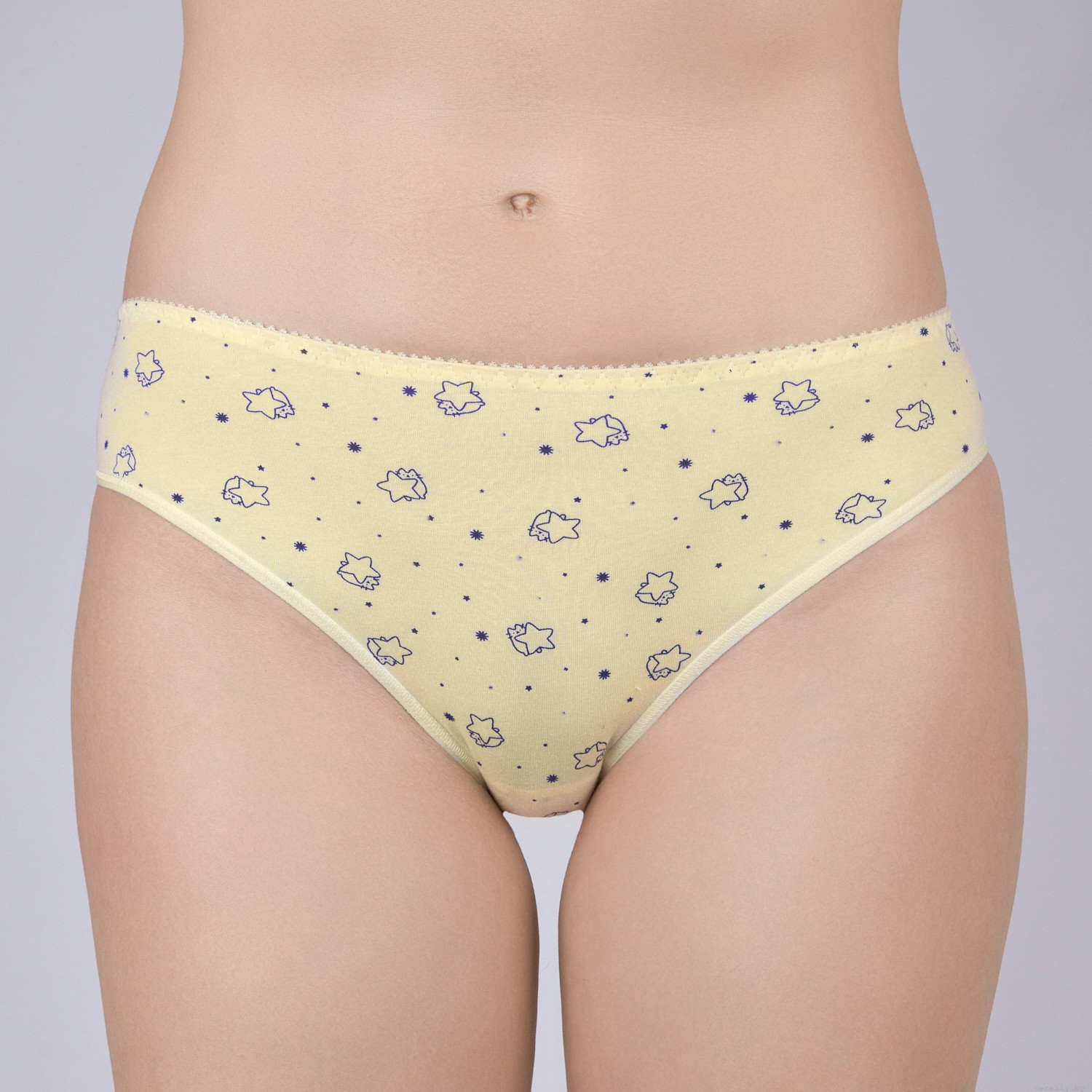 Трусы жен (АРТ. 101-8)