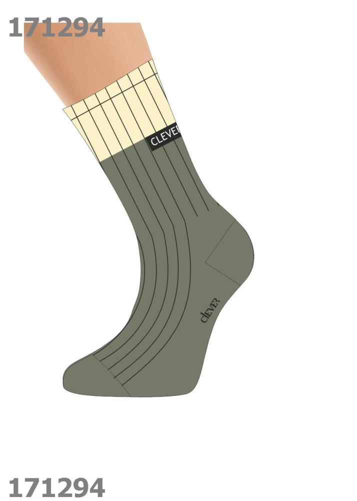 Носки жен (АРТ. Д2301)