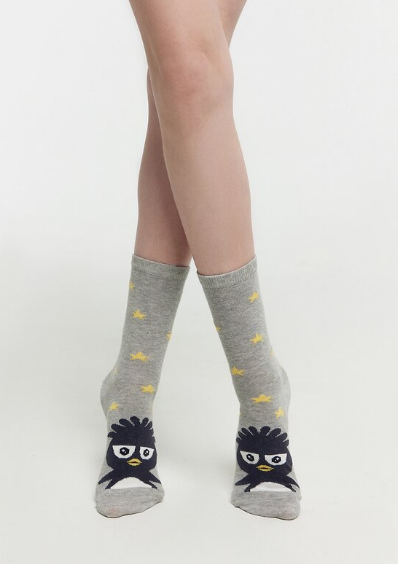 Носки дет (АРТ. 430К-2705)