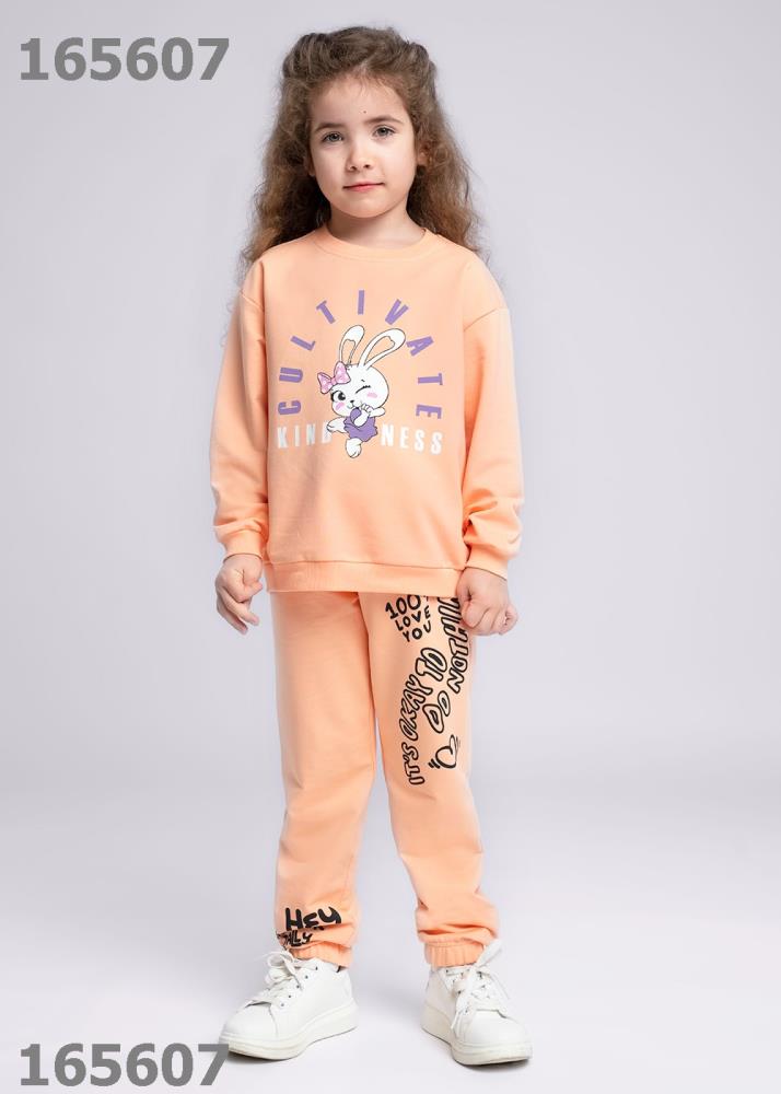 Брюки дев Clever (АРТ. 836045/48у_п)