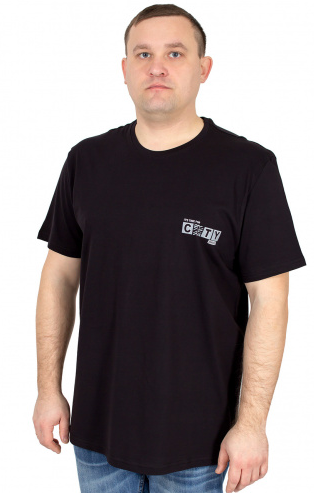 Футболка муж Евразия (АРТ. Д1913-5814)