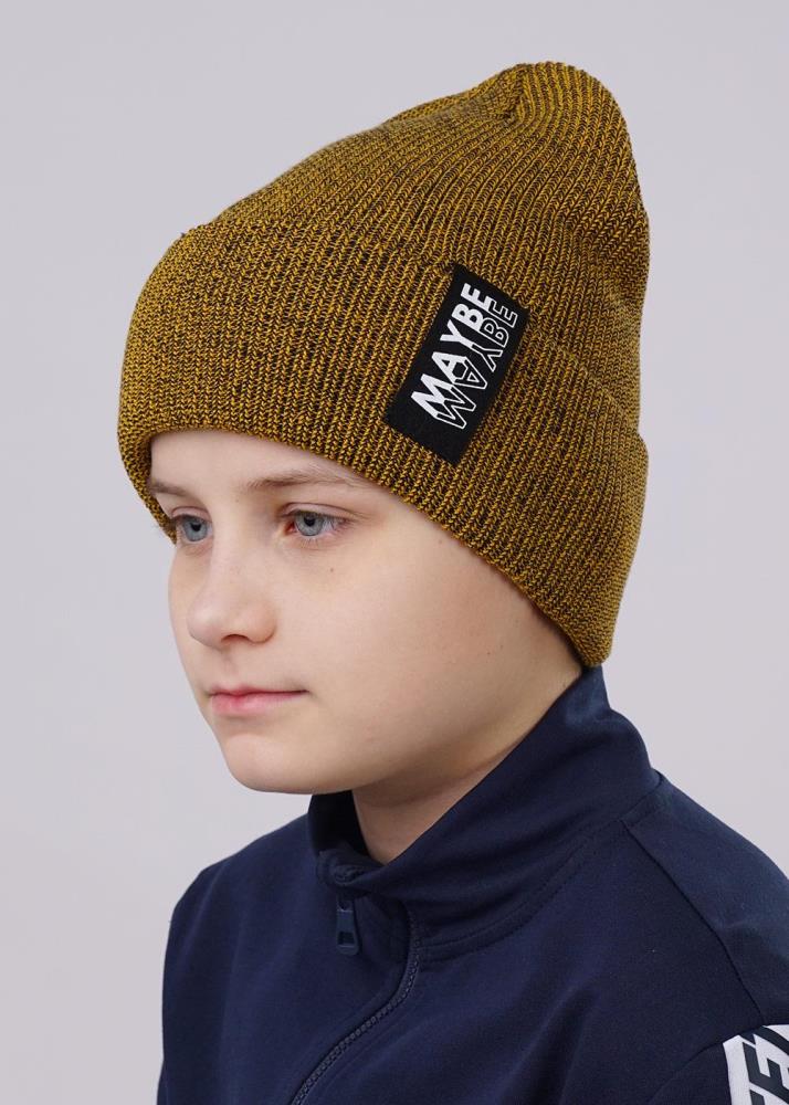 Шапка дет Clever (АРТ. 523440ха)