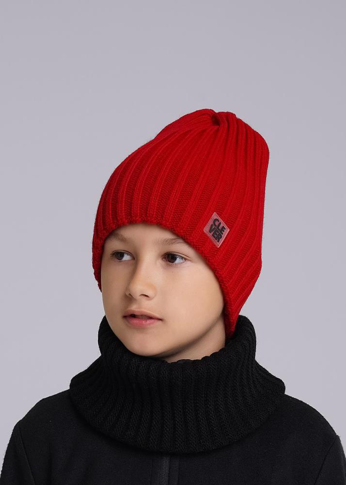 Шапка дет Clever (АРТ. 433814ап)