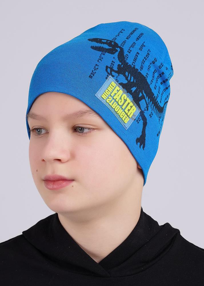 Шапка дет (АРТ. 546601рп)