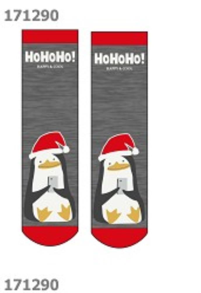 Носки жен (АРТ. Д2351П)