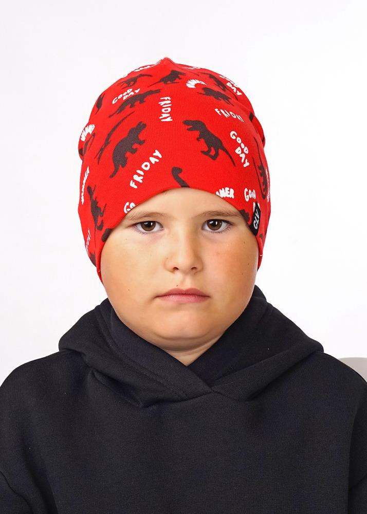 Шапка дет (АРТ. 536026рп)