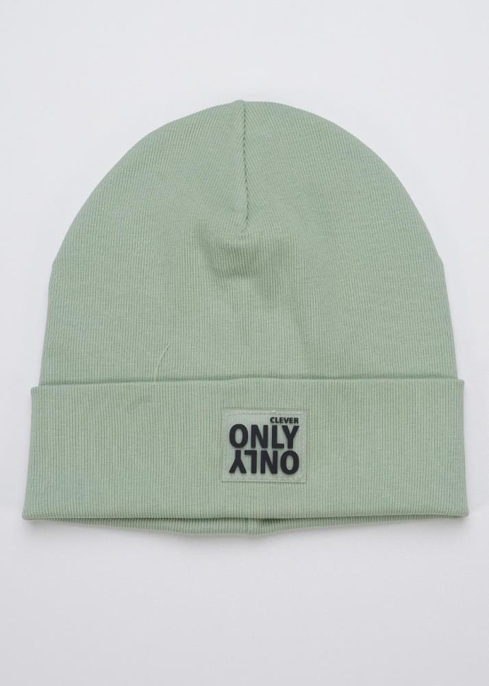 Шапка дет (АРТ. 436299ш)