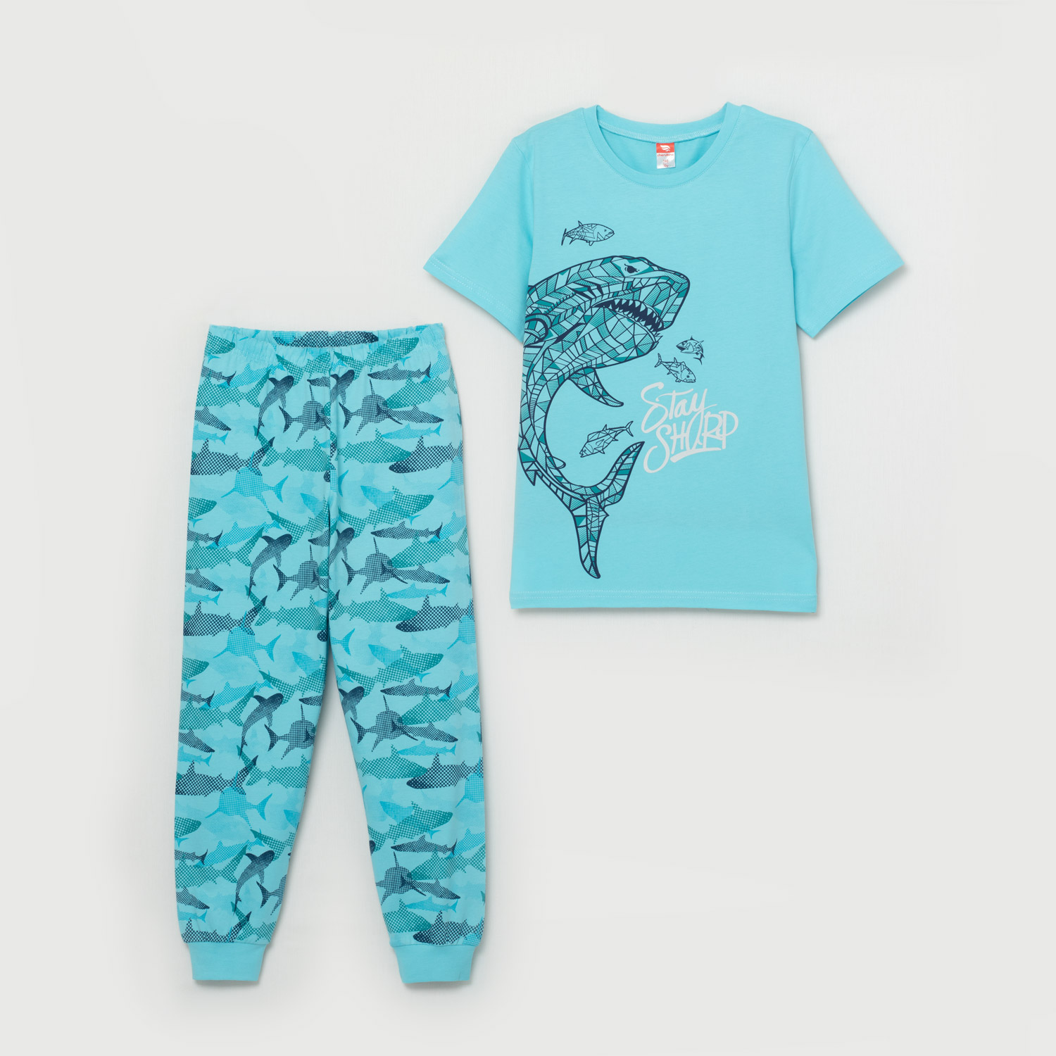 Комплект мал(футболка, брюки) (АРТ. CSJB 50048)