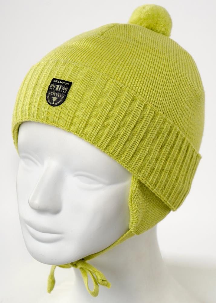 Шапка дет (АРТ. 901862/1аш)