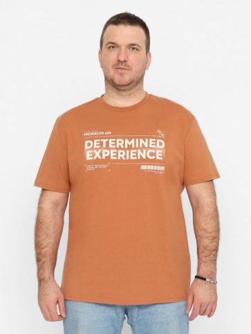 Футболка муж (АРТ. FSLM 60240)