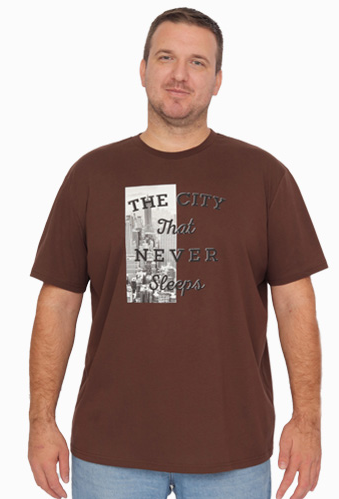 Футболка  муж (АРТ. FWLM 60207)