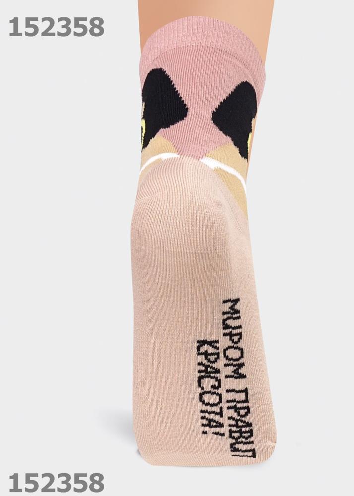 Носки жен (АРТ. Д5205)